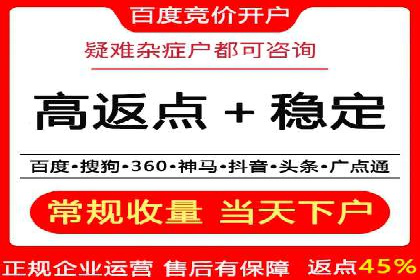 百度搜索推广实战技巧：成功案例启示录